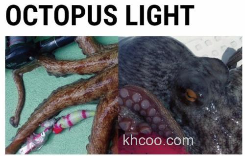 性价款 Tailwalk OCTOPUS LIGHT 章鱼竿_0