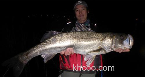 全新性能 AbuGarcia Eradicator Extreme 海鲈竿_3