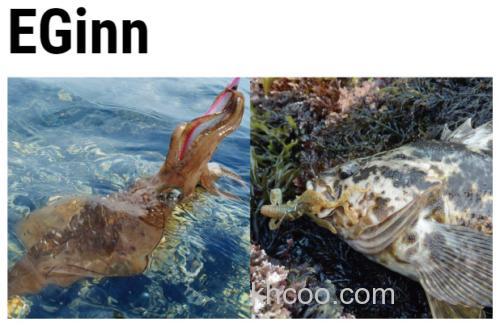 用途多样 18 Tailwalk EGinn 咸水泛用竿_0