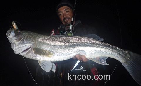 Fishman BeamsCRAWLA L+系列 便携旅行竿_2