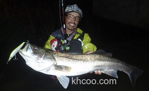 Fishman BeamsCRAWLA L+系列 便携旅行竿_5