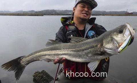 Fishman BeamsCRAWLA L+系列 便携旅行竿_8