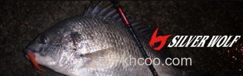 黑鲷专用竿 DAIWA SILVER WOLF MX_0
