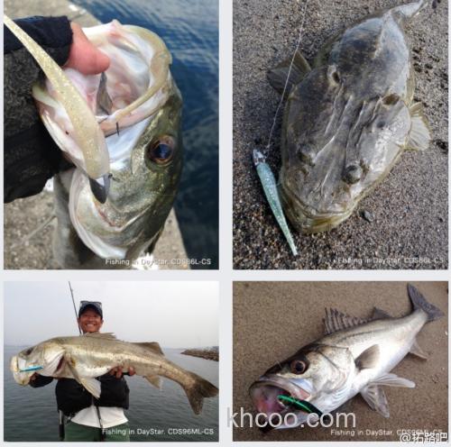 简约至上 Coreman Day Star 海鲈竿_3