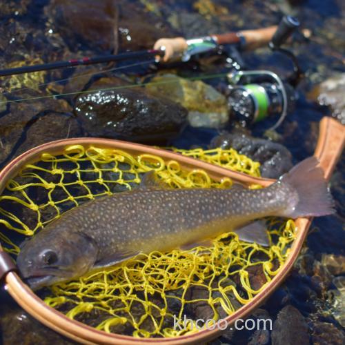 享受自然 Tailwalk 2022 Troutia feerique 鳟鱼竿_1