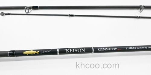 北海道远攻 Tailwalk 2021 KEISON GINSEI PLUS 大鳟竿_1