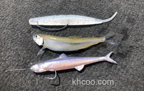 四两拨大鲈Evergreen追加 PHASE PCSS-65L+ BASS竿_2