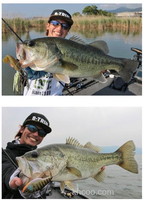 大小饵我都要 Evergreen PHASE PCSC-70MHR 新追加型号BASS竿_2