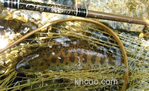 细化玩味 Taper&dshape 19 Glassway Japan trout X 鳟鱼竿_0