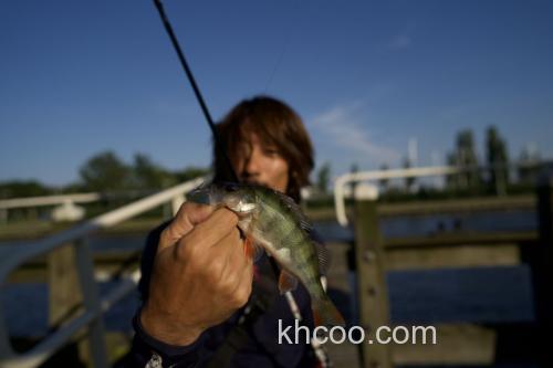 漫步便携风 TULALA Flightex Groovy-70s/80s 泛用小竿_1