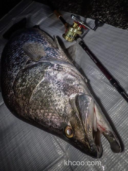 巨兽狙击 Fishman BRISTcomodo8.3XXXXH 大物竿_4