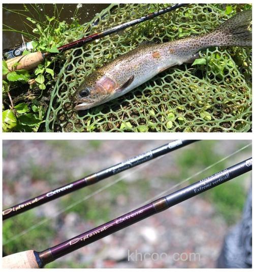 高阶款式 AbuGarcia Diplomat Extreme 管钓鳟鱼竿_2