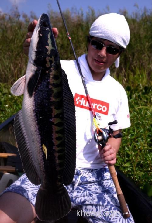 走哪玩哪 Huerco XT610-4C 便携远征竿_3