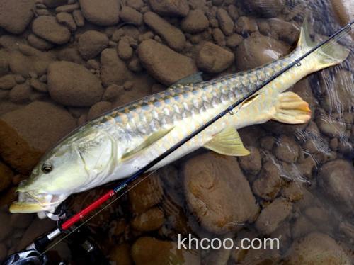 走哪玩哪 Huerco XT610-4C 便携远征竿_2