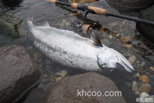 大鲑应对 AbuGarcia Salty Style Northern Custom 大鳟鱼竿_4