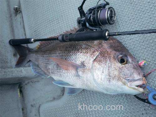 2020 Tailwalk SPEAKY 纺车轮即将上市_2