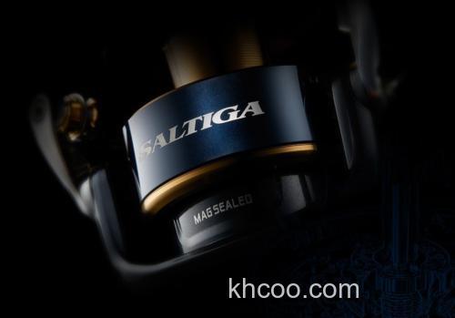咸水旗舰 DAIWA 2020 SALTIGA 纺车轮_7