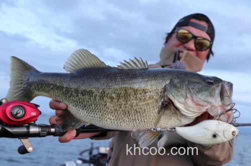 强力火箭！AbuGarcia 2020 REVO BEAST ROCKET 水滴轮_1