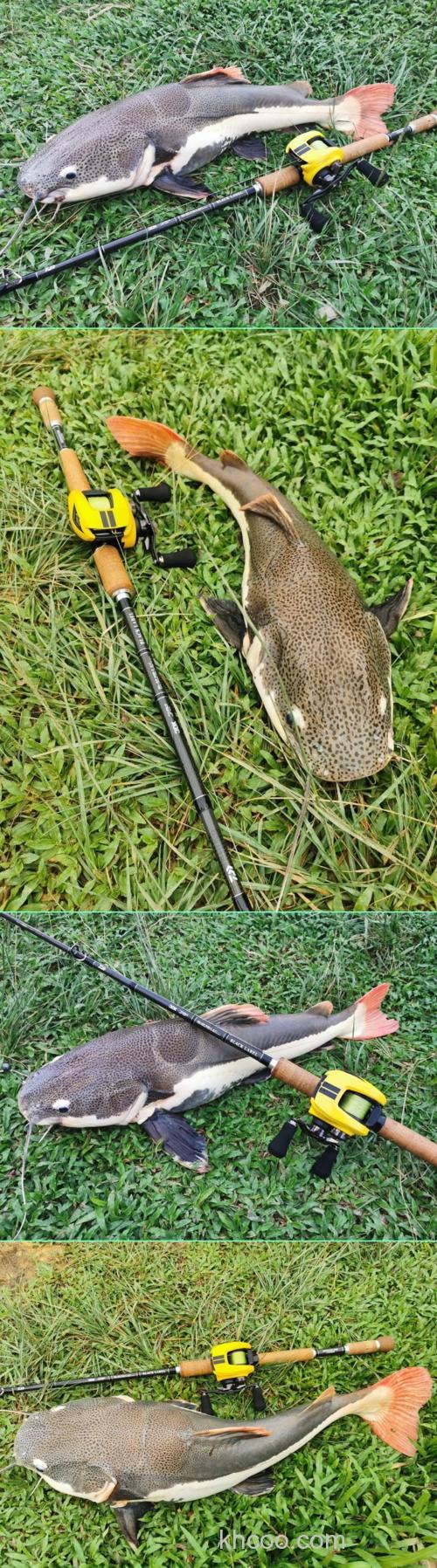 即将推出 DAIWA 东南亚版本 Z2020 水滴轮_1