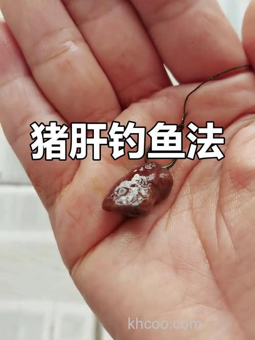 猪肝海钓挂钩打窝技巧 钓真鲷黑鲷石斑必备