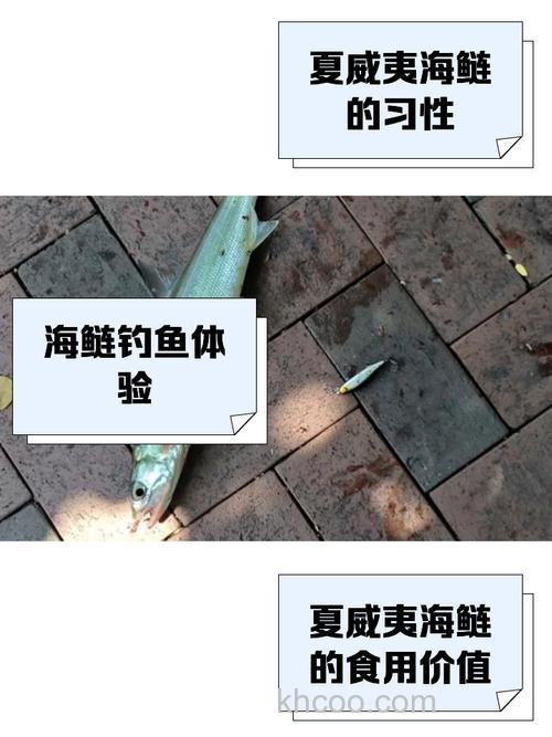 夏威夷海钓技巧：掌握潮汐与鱼种习性，渔获翻倍