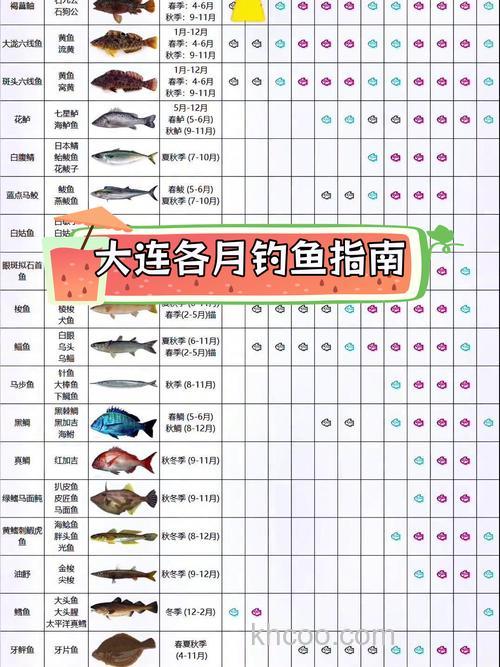 2026大连海钓新规，三月这些钓点鱼最多