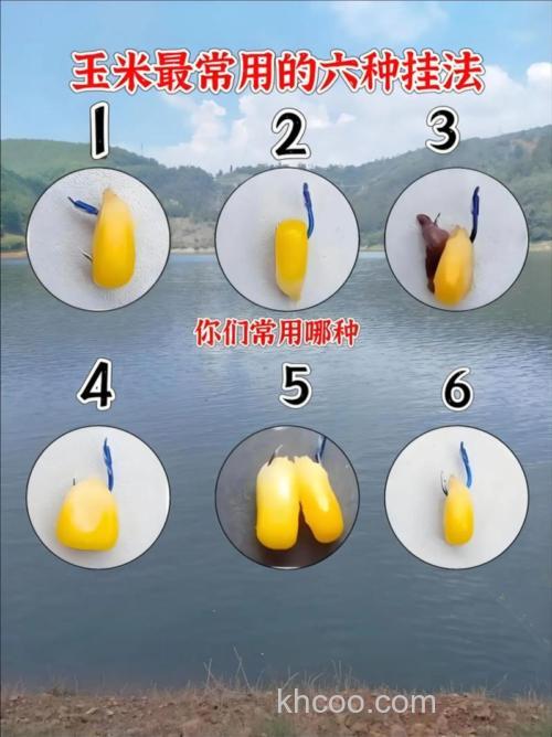 台钓玉米挂钩技巧，嫩玉米和老玉米哪个更好用