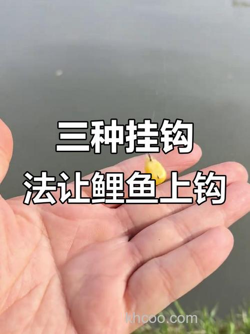 谷子钓鱼绝招：专攻野生大鲤鱼，避开小鱼闹窝的野钓技巧