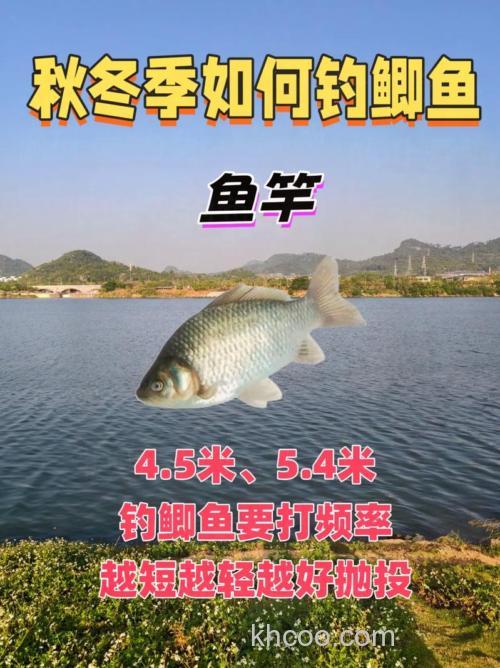 青海大学周边野钓鲫鱼地点与装备选择指南，新手也能有收获