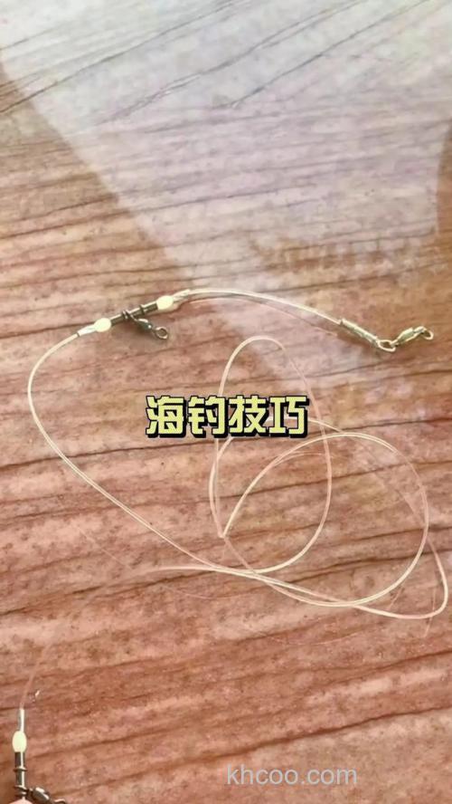 海钓技巧直播教学：新手入门到爆护全攻略