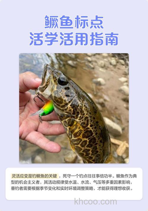 海钓鳜鱼最佳时间和钓点选择技巧，季节潮汐全解析