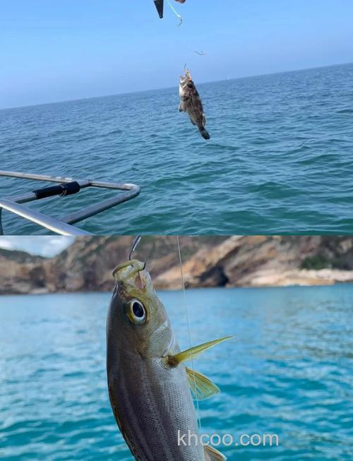 退潮后半场才是海钓黄金时间 找准这个点大鱼狂咬钩