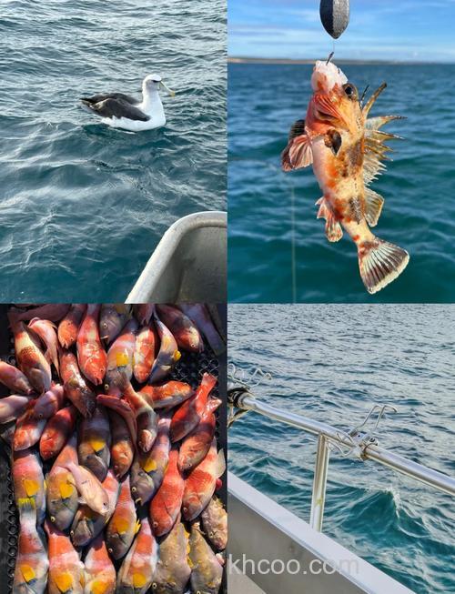 外国海钓技巧：春季鱼群藏哪了？二月底三月初实战经验