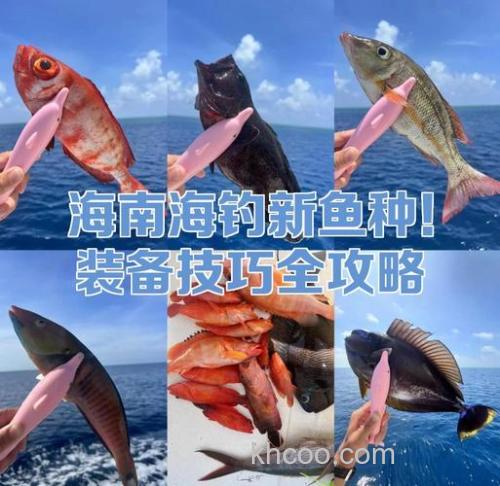 海钓怎么赚钱？选对鱼种和用好装备是关键