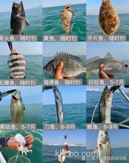 桥底海钓怎么选点？装备技巧全解析