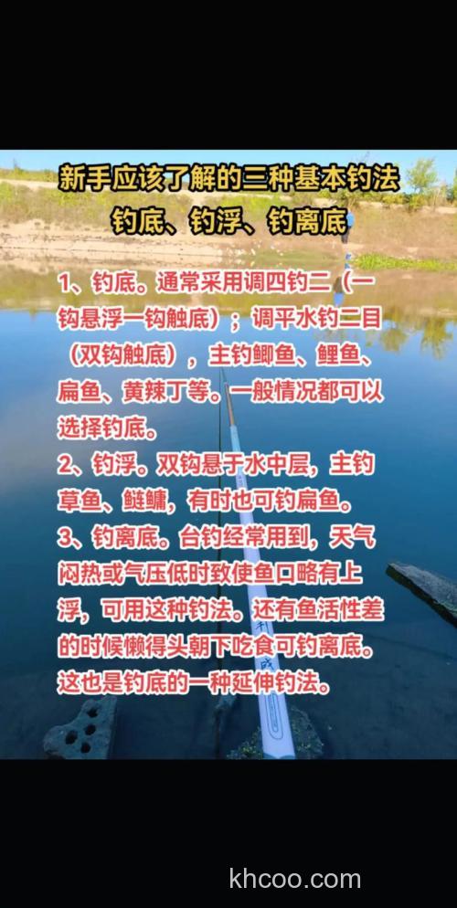 随州台钓技巧解析：钓点选择与饵料配方实战指南