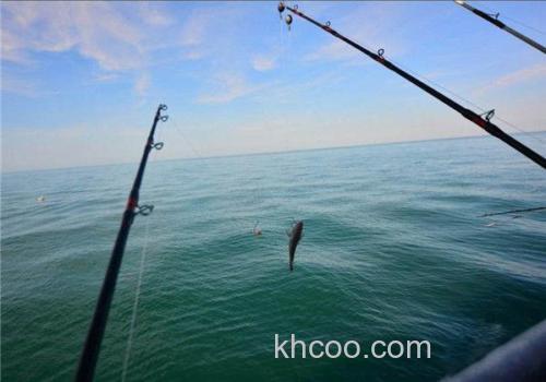 海钓放气技巧教学：轻松处理渔获，保证鱼肉新鲜不腥