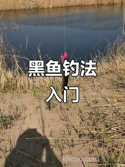 浅谈适合垂钓黑鱼的季节与钓组配置技巧