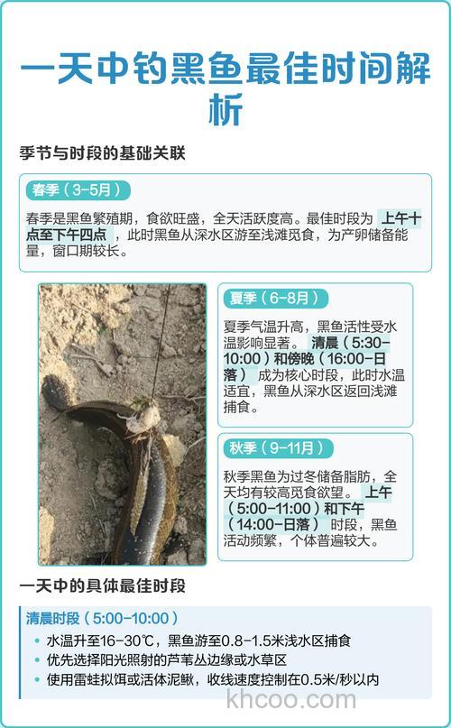 浅谈钓黑鱼用什么饵与出钓最佳时段