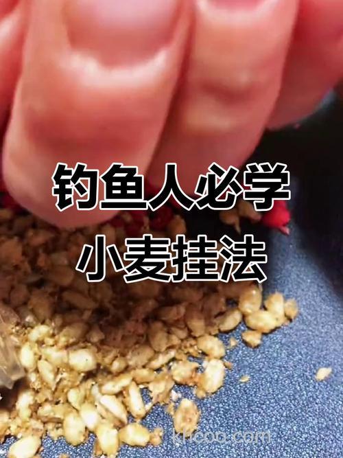 麦子钓鲫鱼技巧：避开小鱼专攻大鲫鱼，野钓必学省钱妙招