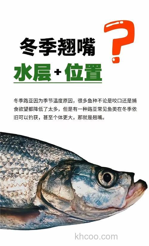 冬天海钓怎么玩？掌握这几点，天冷也能钓到大鱼