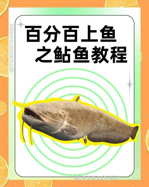 夏季钓鲶鱼的饵料搭配和实战技巧-上