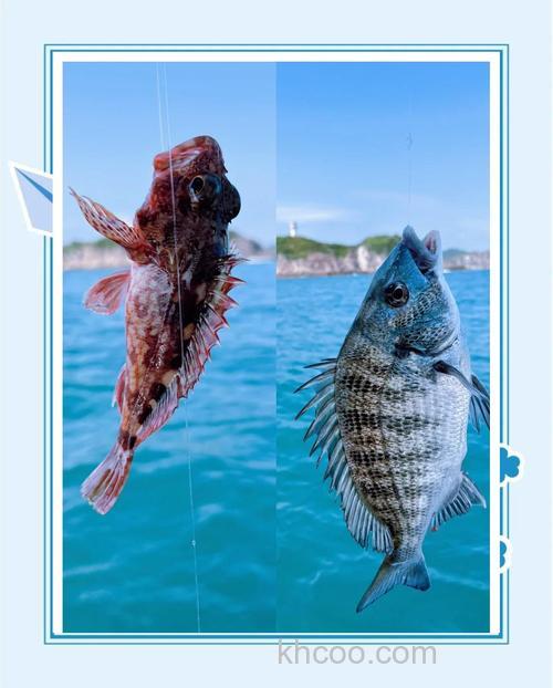 海钓组队找靠谱队友的3个技巧，这样分工满载而归更安全