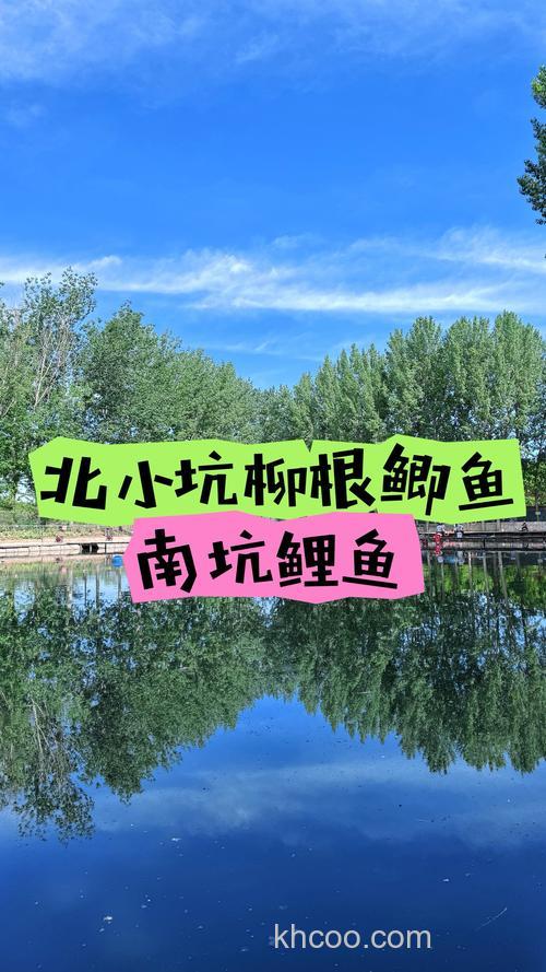 石家庄野钓去哪？找靠谱本地群学技巧，避开禁钓区更安心