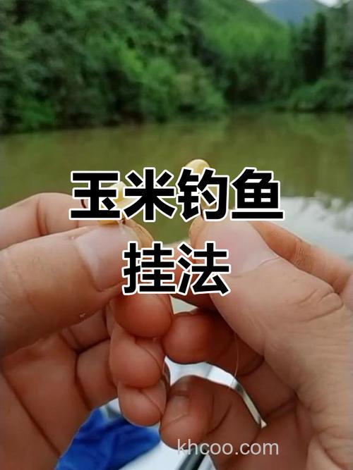 夏秋野钓用玉米，草鱼鳊鱼轻松钓，选窝挂钩有门道