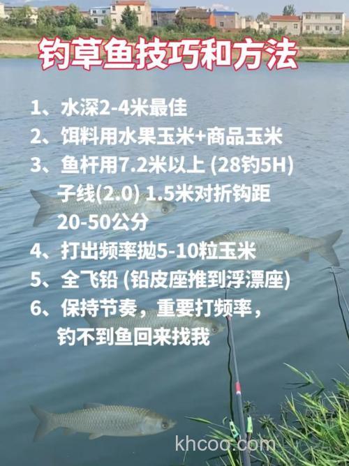 秋季水库手竿垂钓草鱼技巧