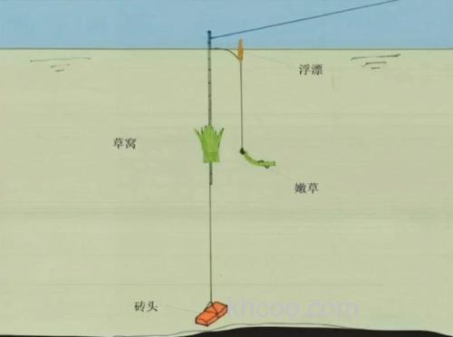 水库浮钓草鱼的钓位选择经验和钓法