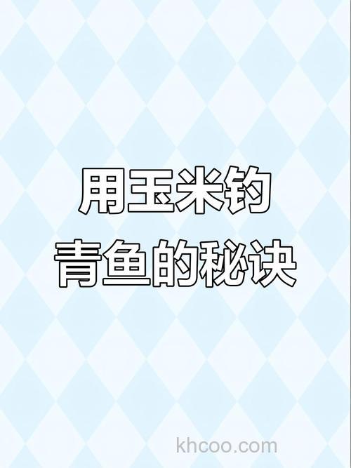 钓青鱼用玉米饵如何调钓？