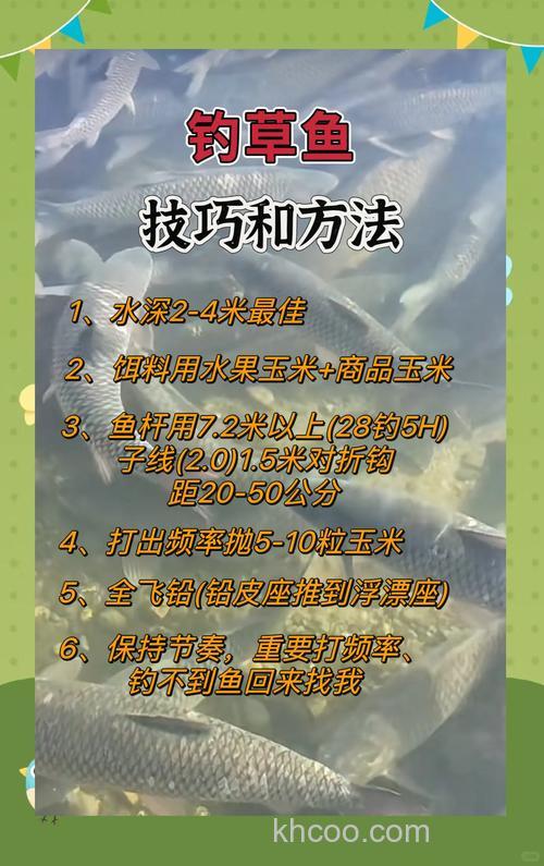 春季水库野河怎样钓草鱼