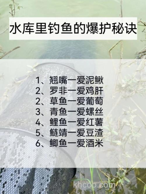 野钓高手透露饵料使用秘诀，爆护没问题